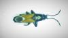 Pterotmetus staphyliniformis